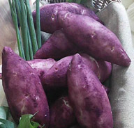 面点做的紫薯